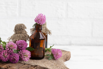 tincture of clover flowers (Trifolium) in a glass bottle. Traditional medicine, the collection of...