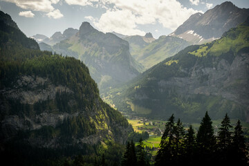 Palette Alpestre: Éclats de Couleurs dans les Alpes Suisses