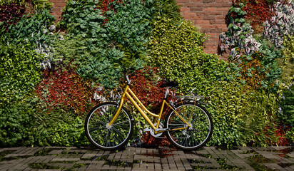 A bicycle leaned against a planted wall on a footpath with puddles in which the bicycle and the plants are reflected - 3d illustration