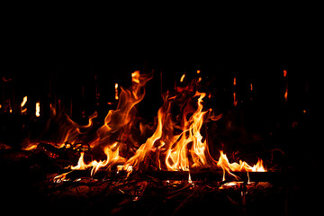 Fire flames on black background. Burning motion texture.