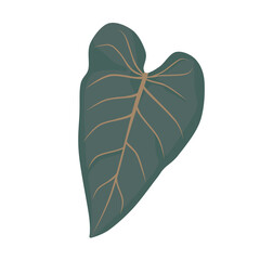 Doodle leaves unique philodendron illustration leaf botanical drawing that can be used for sticker, book, scrapbook, icon, decorative, e.t.c cute with green color  © Detia Doodle