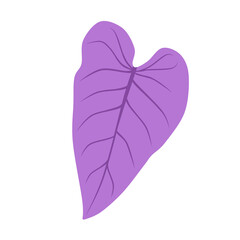 Doodle leaves unique philodendron illustration leaf botanical drawing that can be used for sticker, book, scrapbook, icon, decorative, e.t.c cute with purple color 