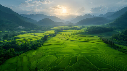Fototapeta premium Green organic field with mountains in background