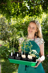 pretty middle-aged woman is standing in her garden, holding a green box with many different tomato plants in her hand, which she will soon plant in a raised bed