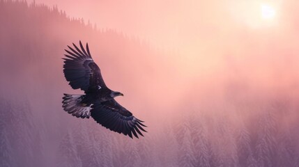 Eagle flying in sky in Grand Canyon in winter with snow.