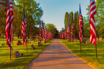 American Flag Lining the Road at the Cemetery on Memorial Day