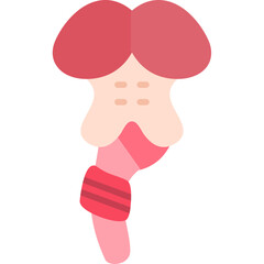 Brainstem Icon