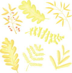 Fototapeta premium yellow leaves