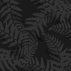 Fototapeta premium plants_fern_blue_8-02.eps