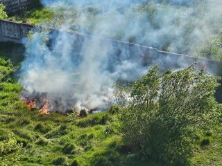 Dry grass burning on field during day close-up. Burning dry grass in field. Flame, fire, smoke, ash, dried grass. Smoking wild fire. Ecological disaster, environment, ecology pollution