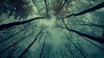 Whispers Amidst the Towering Treetops A Captivating of Nature s Ethereal Language