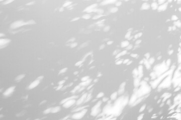 White Wall Background With Shandows, White Background