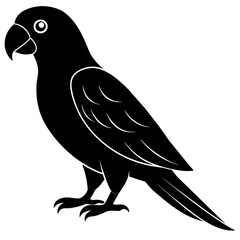 Fototapeta premium Simple parrot silhouette vector illustration.