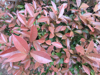 일상적이고 특별한것이 없지만 소소하고 자연에서 주는 소소함 즐거움 