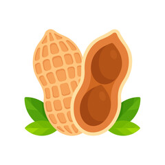 Whole peanut and a halved peanut with seeds visible. Flat icon isolated on white background. Superfood and vegan protein source concept. Great for use in nutritional guides and health food packaging