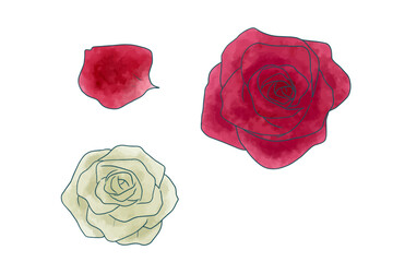 赤いバラと白いバラと花びら