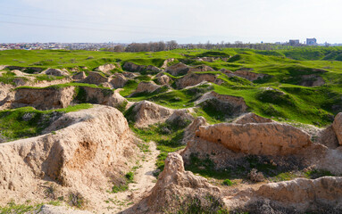 Afrasiyab (Afrosiyob) ancient settlement in ruins in Samarkand, Uzbekistan - Archaeological excavations on a grassy hill of Maracanda in Central Asia