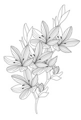 Seamless abstract floral background with roses, hand-drawing for you design