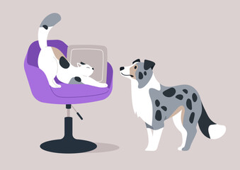 Feline Flexibility Meets Canine Curiosity in a Serene Home Encounter, A white cat stretches languidly on a purple chair as a merle border collie watches intently