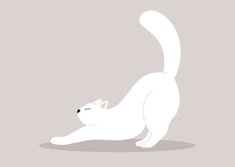 Elegant Feline Stretching in a Minimalist Realm, A graceful white cat extends into a stretch against a simple backdrop
