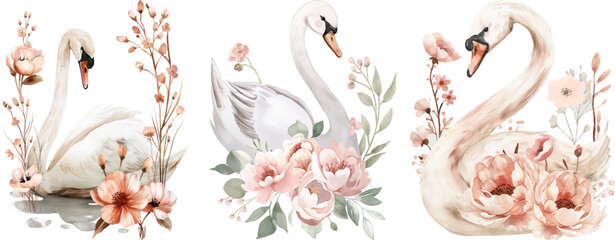Watercolor swan clipart with flowers
