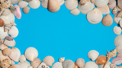 Sea shells forming a frame on a blue surface