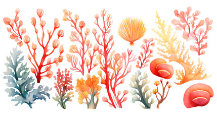 Watercolor clipart of diverse seaweeds and vibrant coral reef elements, featuring soft corals, sea fans, and kelp, isolated on transparent background