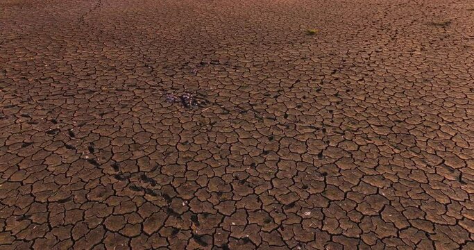 Cracked Dry Earth, Dry Soil, Cracked Earth During Drought Lack of Water Crisis