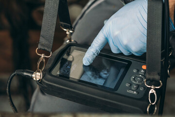 Innovations on the Farm: Ultrasound Technology: Veterinarians use ultrasound technology