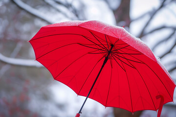 red umbrella in the rain, The red umbrella takes center stage in the scene, its vibrant hue capturing the viewer's attention and symbolizing the protective shield offered by travel insurance