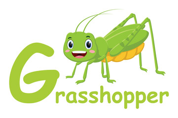 Cute font alphabet G for grasshopper cartoon characters