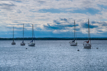 Sailboats moored in the bay
