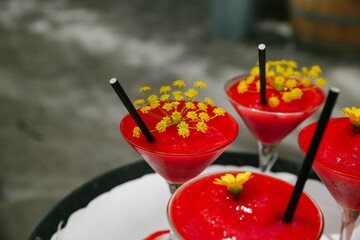 A waitress holds a tray with beautiful red colored cocktails decorated with yellow flowers served with a black drinking straw