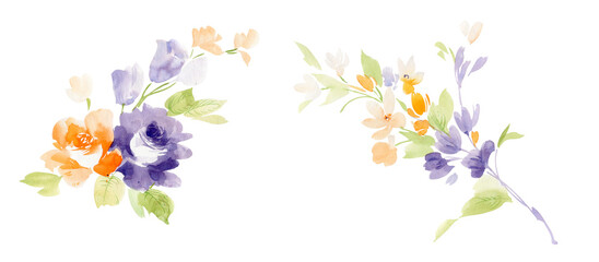 Watercolor flower elements and patterns