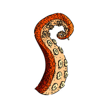 recommend clip art: art octopus kraken tentacle hand drawn. underwater fantasy, isolated seafood, vintage water art octopus kraken tentacle vector sketch. isolated color illustration