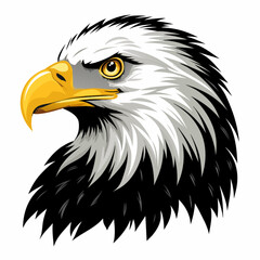 american bald eagle