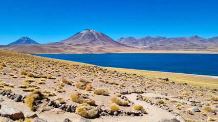 Laguna Miscanti, Atacama Desert, Chile. Altiplanic lagoon in a high-altitude area in the desert
