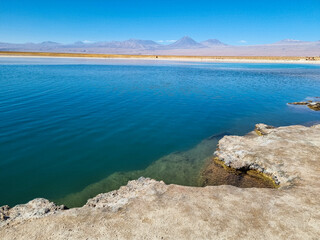 Laguna Cejar, Atacama Desert, Chile. Salt lagoon in the desert where you can't sink © Jair