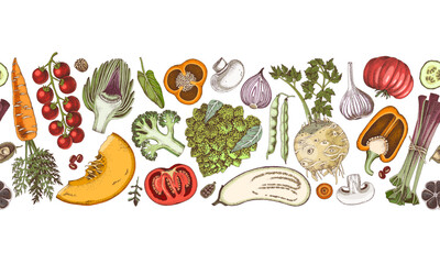 Fresh vegetables hand drawn collection