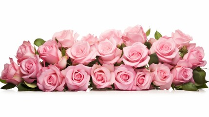 Bunch bouquet of pink roses isolated on white background panorama banner.