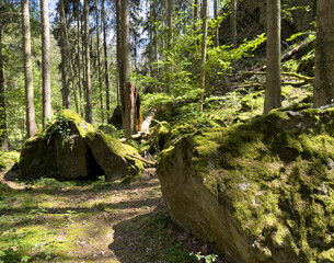 footpath with rocks in the forest,Vogtland Triebtal saxony germany