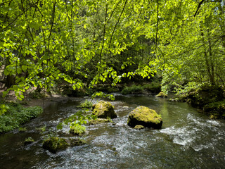 Mountain river flowing inside mysterious forest, Vogtland Triebtal
