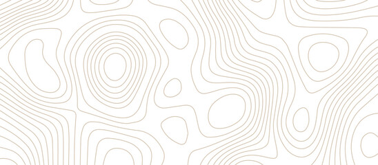 Abstract Topographic map background with wave line. Panorama view gradient multicolor wave curve lines banner background design. Vector illustration. wave Line topography map contour background.