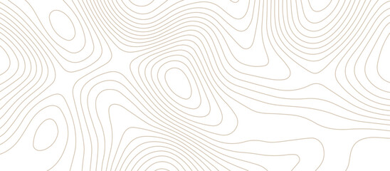 Abstract Topographic map background with wave line. Panorama view gradient multicolor wave curve lines banner background design. Vector illustration. wave Line topography map contour background.