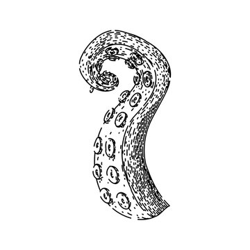 recommend clip art: art octopus kraken tentacle hand drawn. underwater fantasy, isolated seafood, vintage water art octopus kraken tentacle vector sketch. isolated black illustration