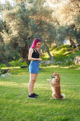 A woman with vibrant pink hair is training a Shiba Inu dog in a lush park, rewarding the attentive...
