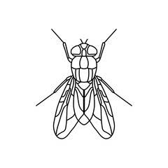 fly insect outline icon.fly line art vector illustration. Doodle line graphic design. Black and white drawing insect.