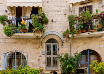 Fototapeta premium old house with flowers, Trani, Apulia, Italy, Europe March 2024