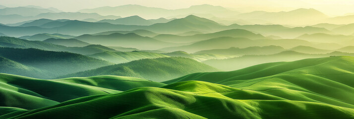 Obraz premium green mountain layers at foggy morning. Summer time scenery.