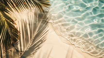 Top view of the shadow of palm leaves on the seashore. Summer beach concept.